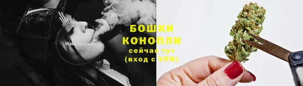 соль ск Богородск